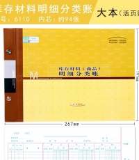 萊特6110庫存材料明細賬16k 100頁