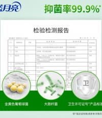 藍月亮蘆薈抑菌洗手液500g（袋）